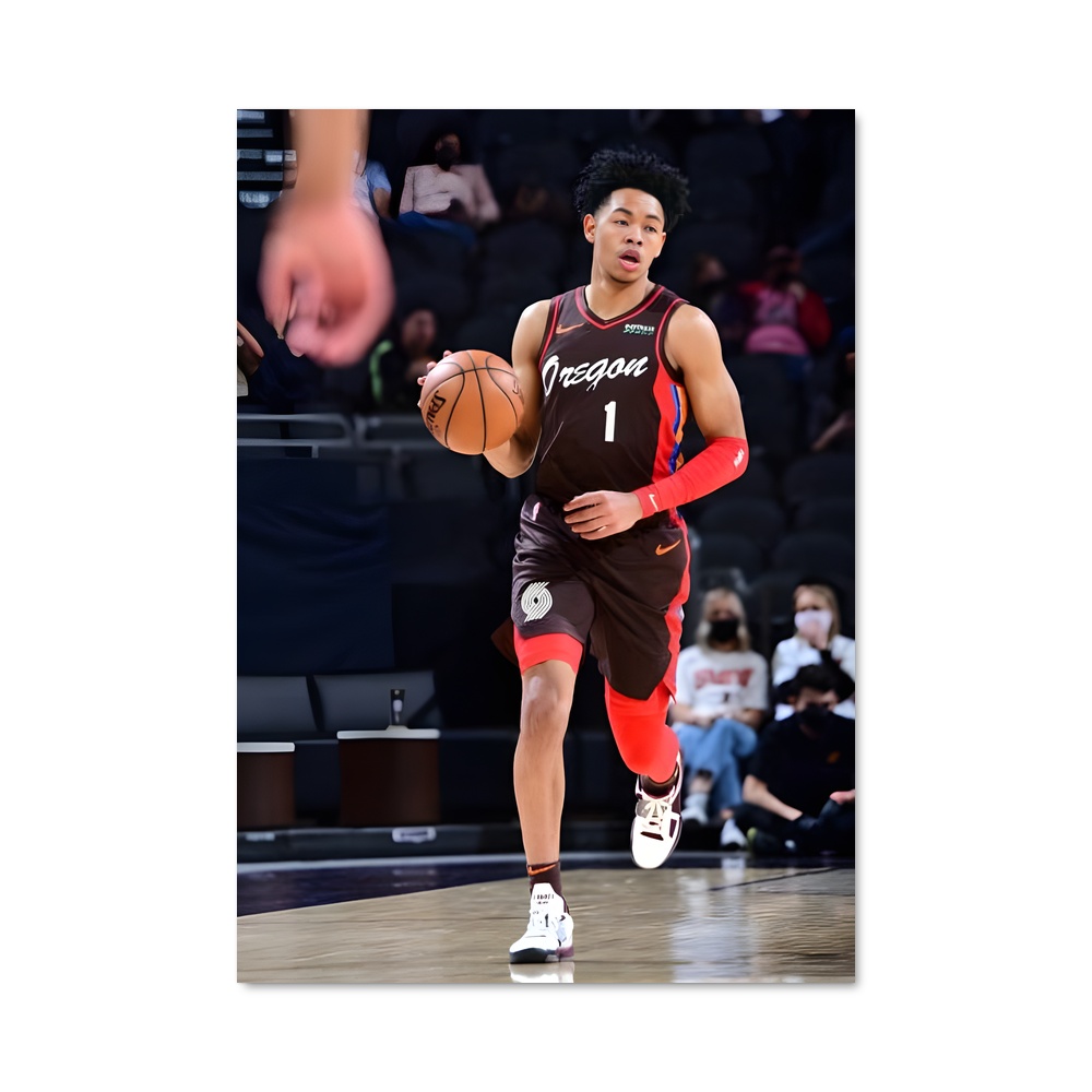 Poster Phoenix Playmaker